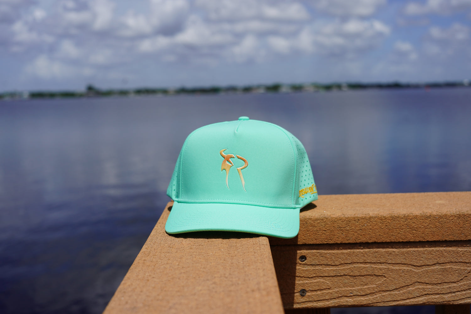 Daybreak SnapBack Hat