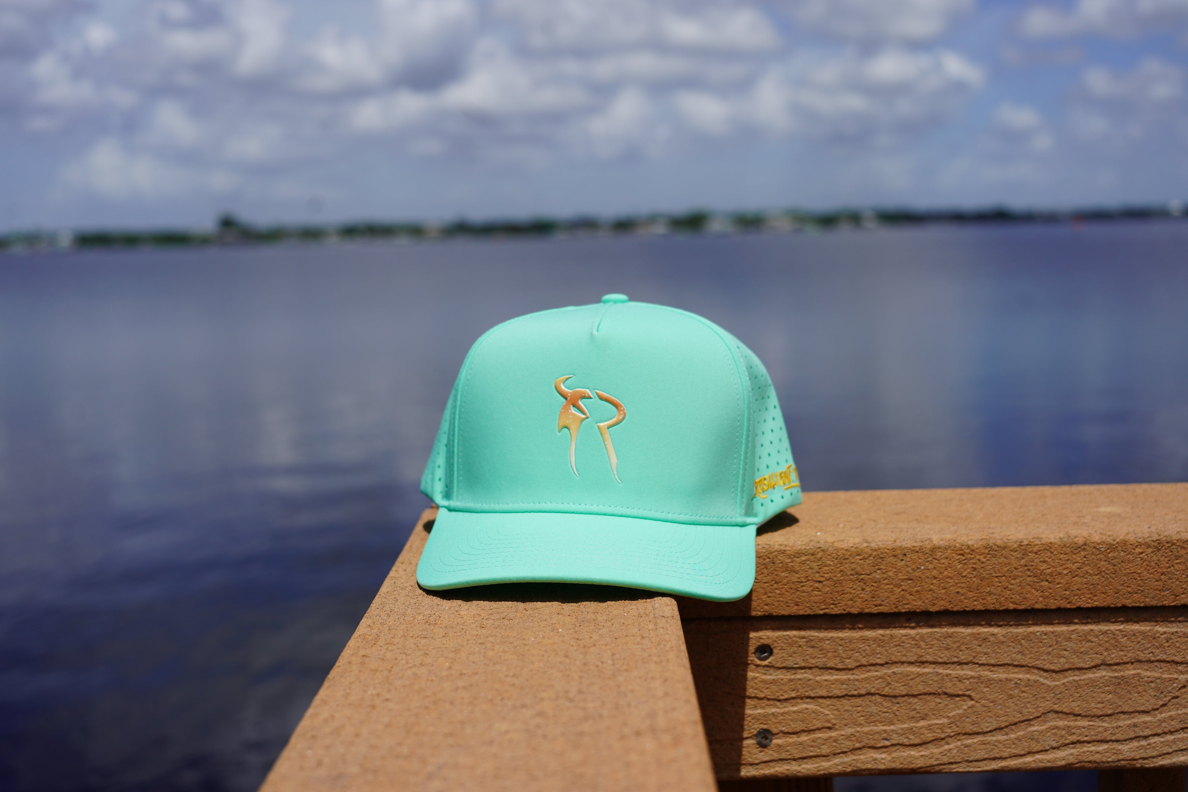Daybreak SnapBack Hat